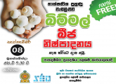 mushroom cultivation