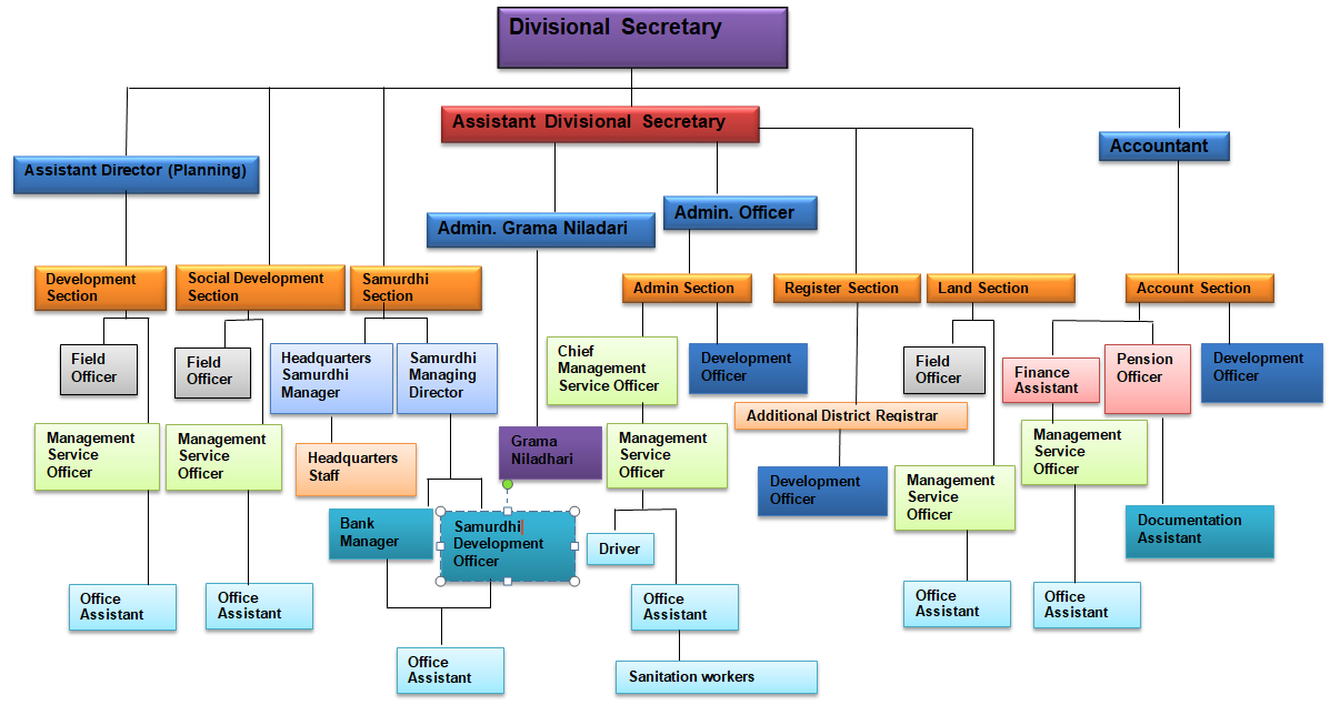 org chart eng