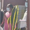 74 වන නිදහස් දින සමරු උළෙල- 2022