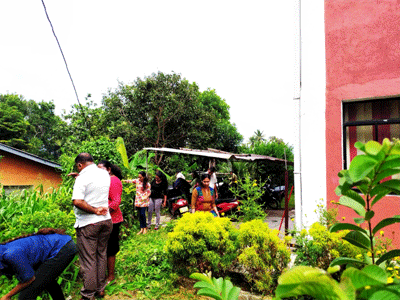 dengu program2