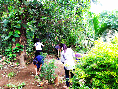 dengu program3